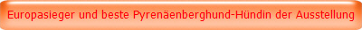 Europasieger und beste Pyrenenberghund-Hndin der Ausstellung